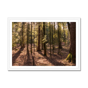 Casting shadows Framed Print