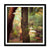 Forest 28 Framed Print