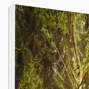 Forest 7 Canvas