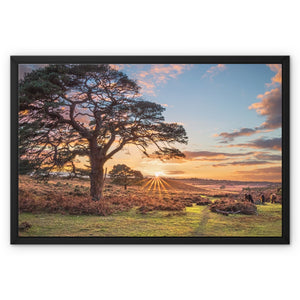 Scrape bottom sunset Framed Canvas