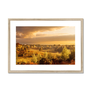 Forest 20 Framed & Mounted Print