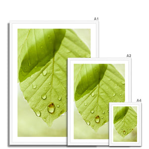 Leaf Macro 1 Framed Print