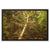 Forest 7 Framed Canvas