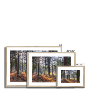 Bolder pines Framed & Mounted Print