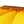Sun Flower 4