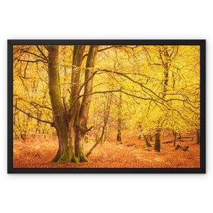 Forest 17 Framed Canvas