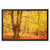 Forest 17 Framed Canvas