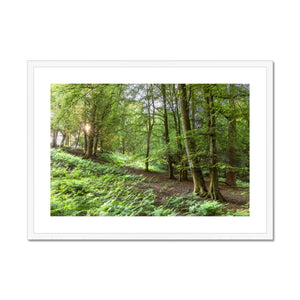 Puckpits valley 2 Framed & Mounted Print