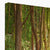 Forest 19 Canvas