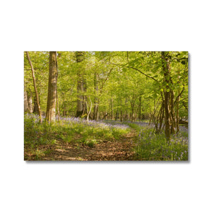 Bluebell path Canvas